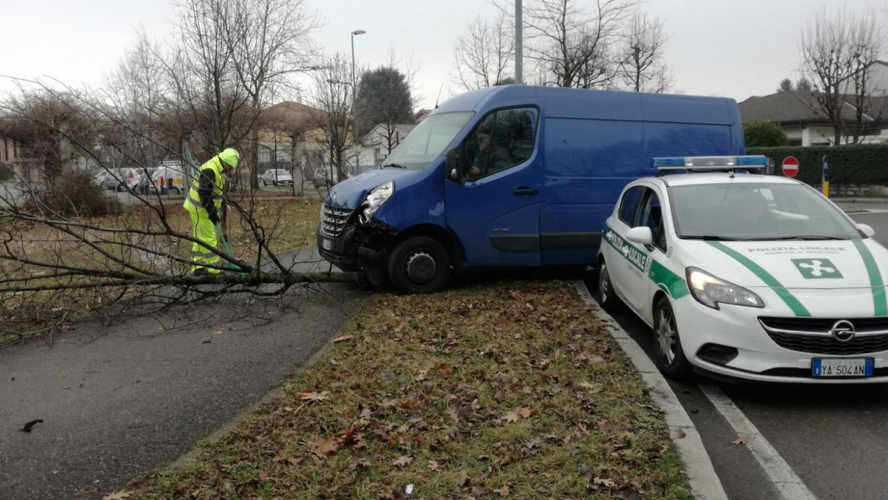 Perde il controllo del furgone e finisce contro una pianta FOTO