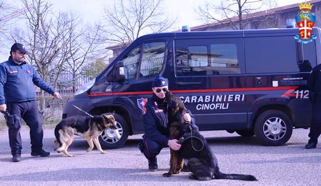 Controlli antidroga al Parco delle Groane | Maxi dispiegamento: 80 uomini in azione