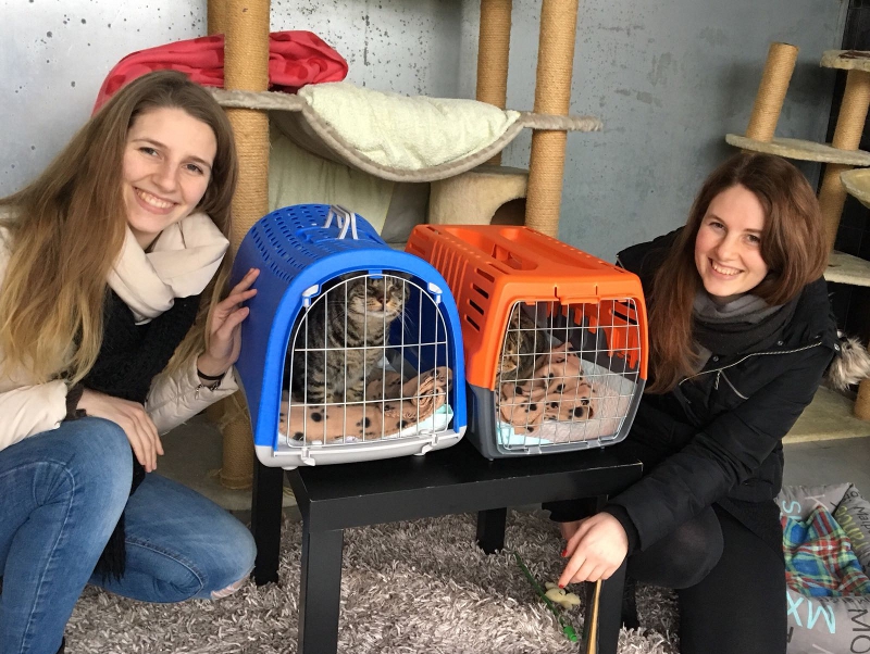 Pablo e Pedro trovano casa insieme dopo 2 anni al Gattile