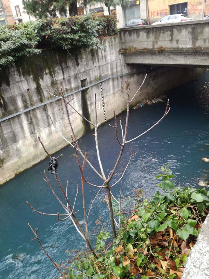 Le acque del Seveso al centro di un convegno a Cesano Maderno