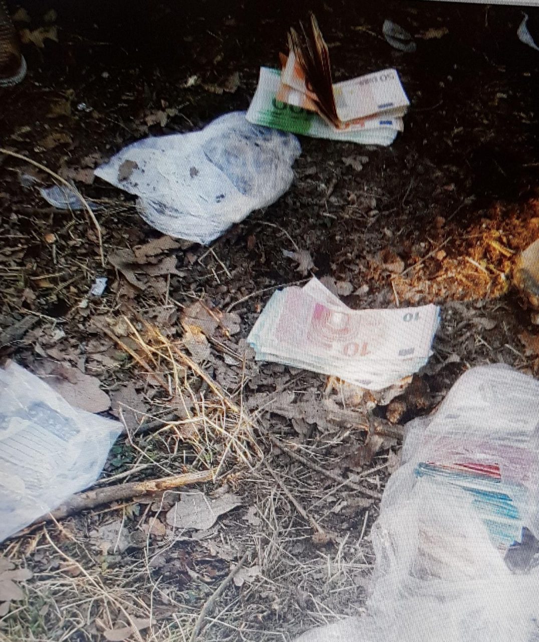 Spaccio Parco delle Groane arrestato un 23enne FOTO