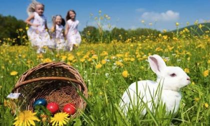Pasqua in Brianza: a Desio i bimbi si divertono con la "Caccia alle Uova"