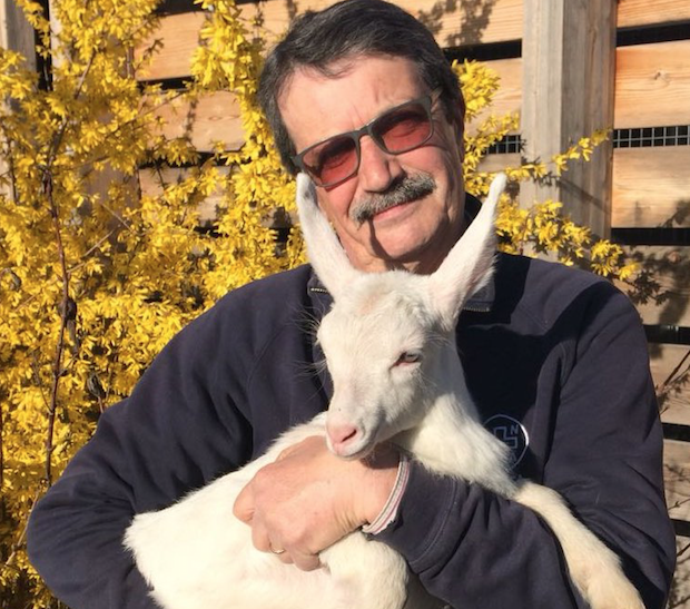 Il rifugio Enpa di Monza accoglie due capretti FOTO