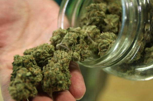 Cannabis legale nei supermercati del gruppo Lidl