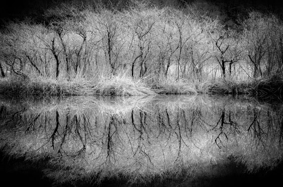 «Alfabeti della natura. Il nero incontra in bianco», nuova iniziativa della Don Giulio Farina