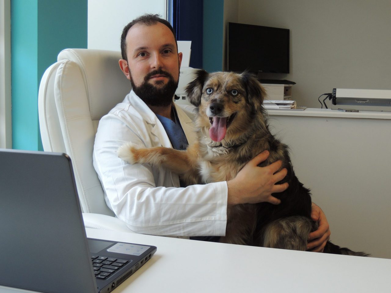 Veterinario Arcore, nuovo ambulatorio del dottor Roncalli