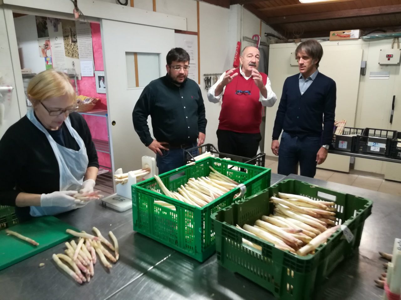Cinquecento radici di asparago rosa alle famiglie numerose di Mezzago