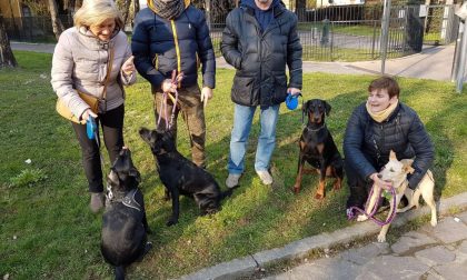 Trezzo in 200 contro il divieto di accesso ai parchi per i cani