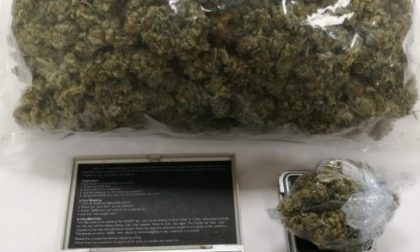 Mezzo chilo di marijuana in cameretta, arrestato un 17enne