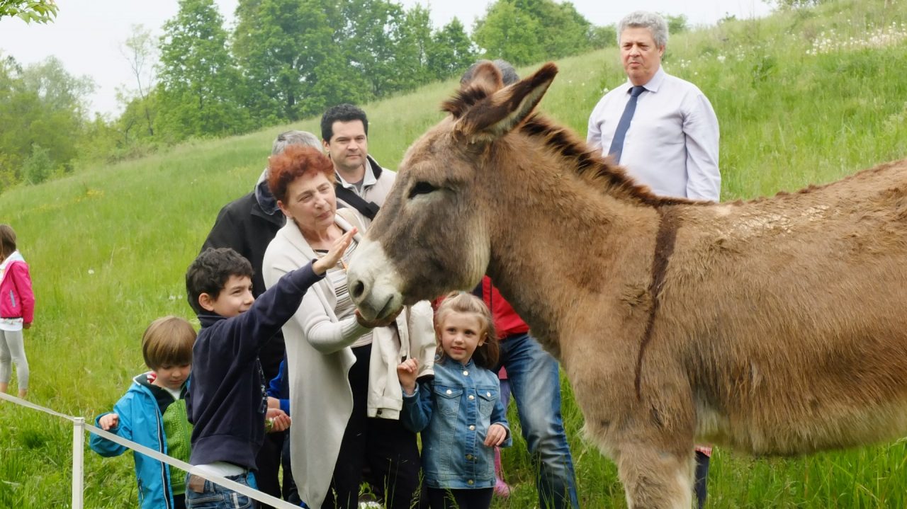Tornano le “Domeniche in Collina”