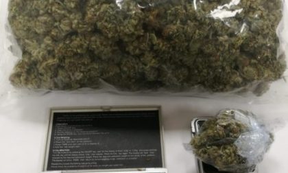 Droga, brillante operazione dei carabinieri di Bernareggio