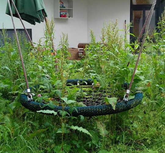 Comune non taglia l’erba: giardino del nido diventa una “foresta”