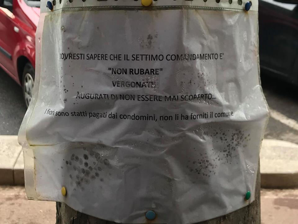 Cartelli contro il ladro di fiori: “Vergognati, spera che non ti becchiamo…”