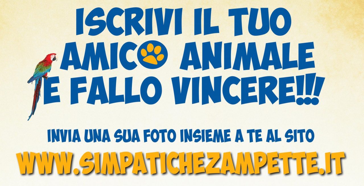 Simpatiche zampette: il gioco entra nel vivo