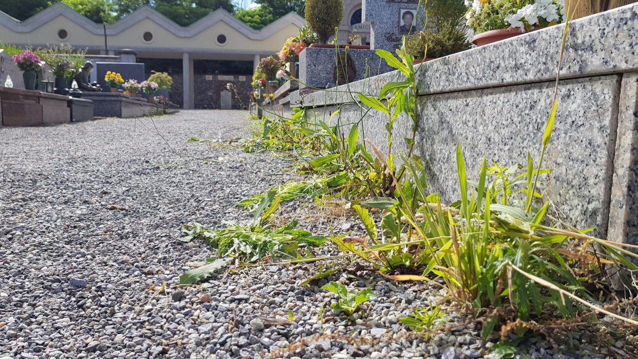 Erbacce al cimitero, la replica della ditta appaltatrice del verde pubblico
