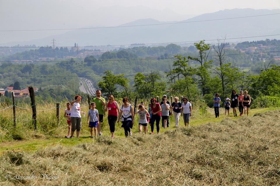 Su e giù per le cascine: quasi 800 alla  camminata