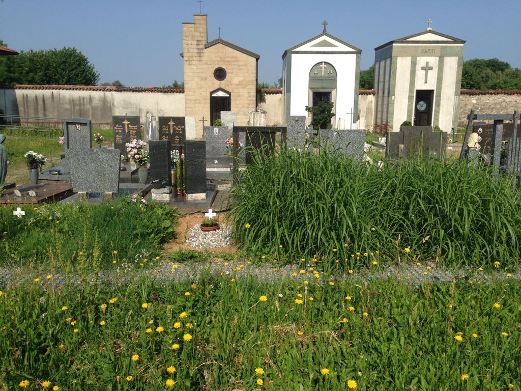 Erbacce al cimitero, l’affondo della Lega