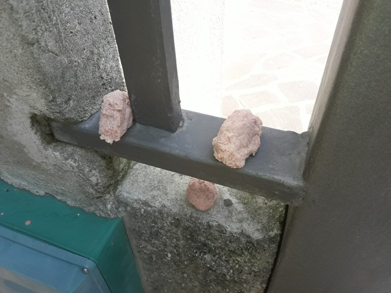 Bocconi avvelenati a Giussano