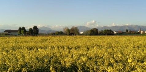Approvata la riqualificazione della strada campestre Ruginello-Sulbiate