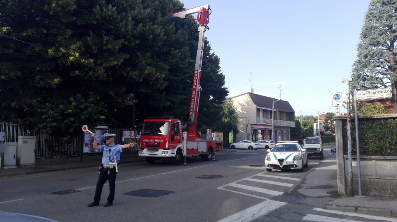 Alveare con 30mila api recuperato dai Vigili del fuoco