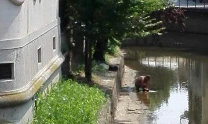 Troppo caldo? C'è chi si "lava" nel Lambro