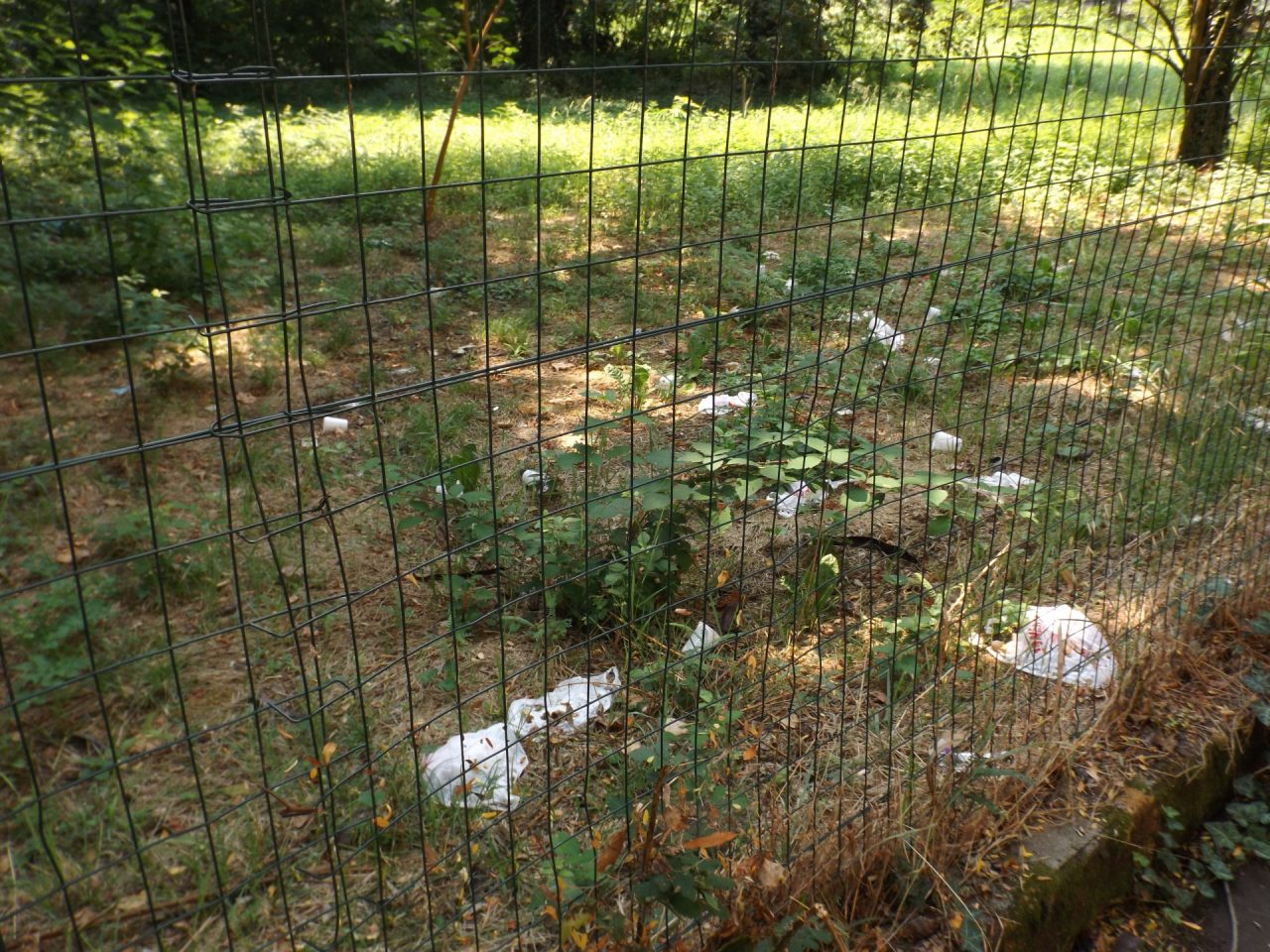 Lusso e degrado: in via Cavallotti una discarica a cielo aperto
