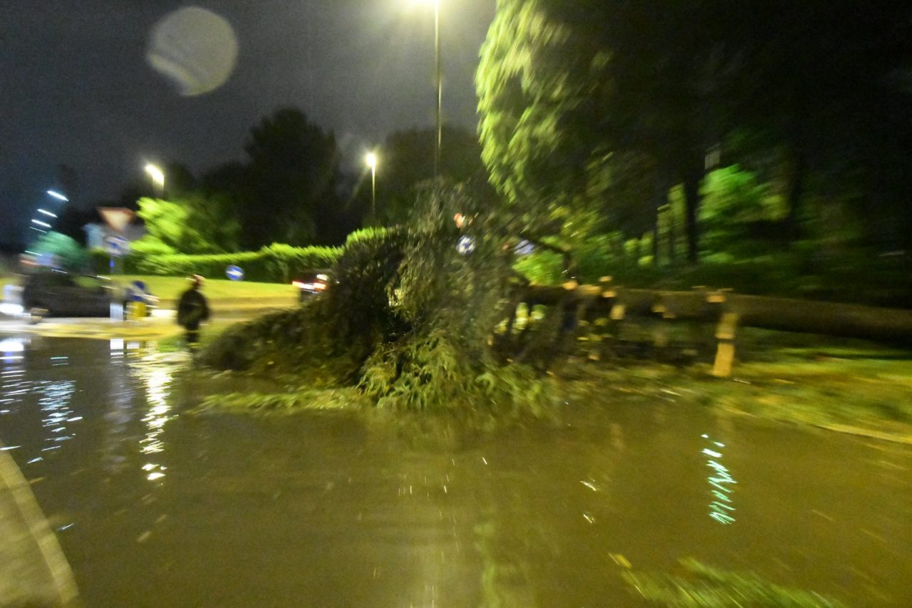 Maltempo in Brianza: il Seveso supera i livelli di guardia a Cesano. Alberi sradicati a Varedo FOTO VIDEO