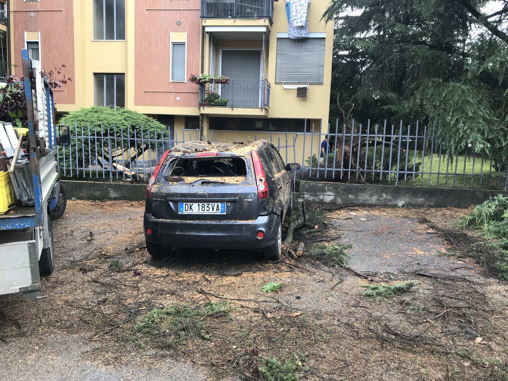 Agrate brianza Omate via de Gasperi albero pianta cedro caduto su auto