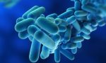 Legionella Bresso, morto un anziano