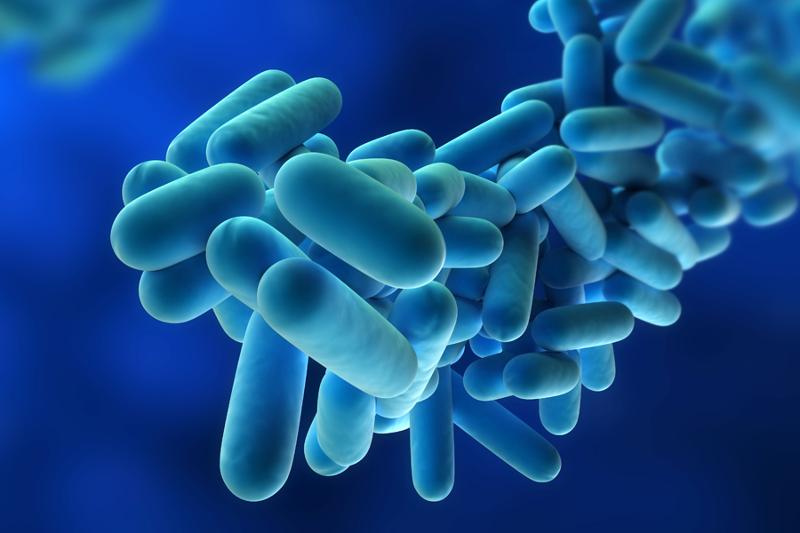 Anziano morto per legionella a Desio: nessun collegamento con Brescia