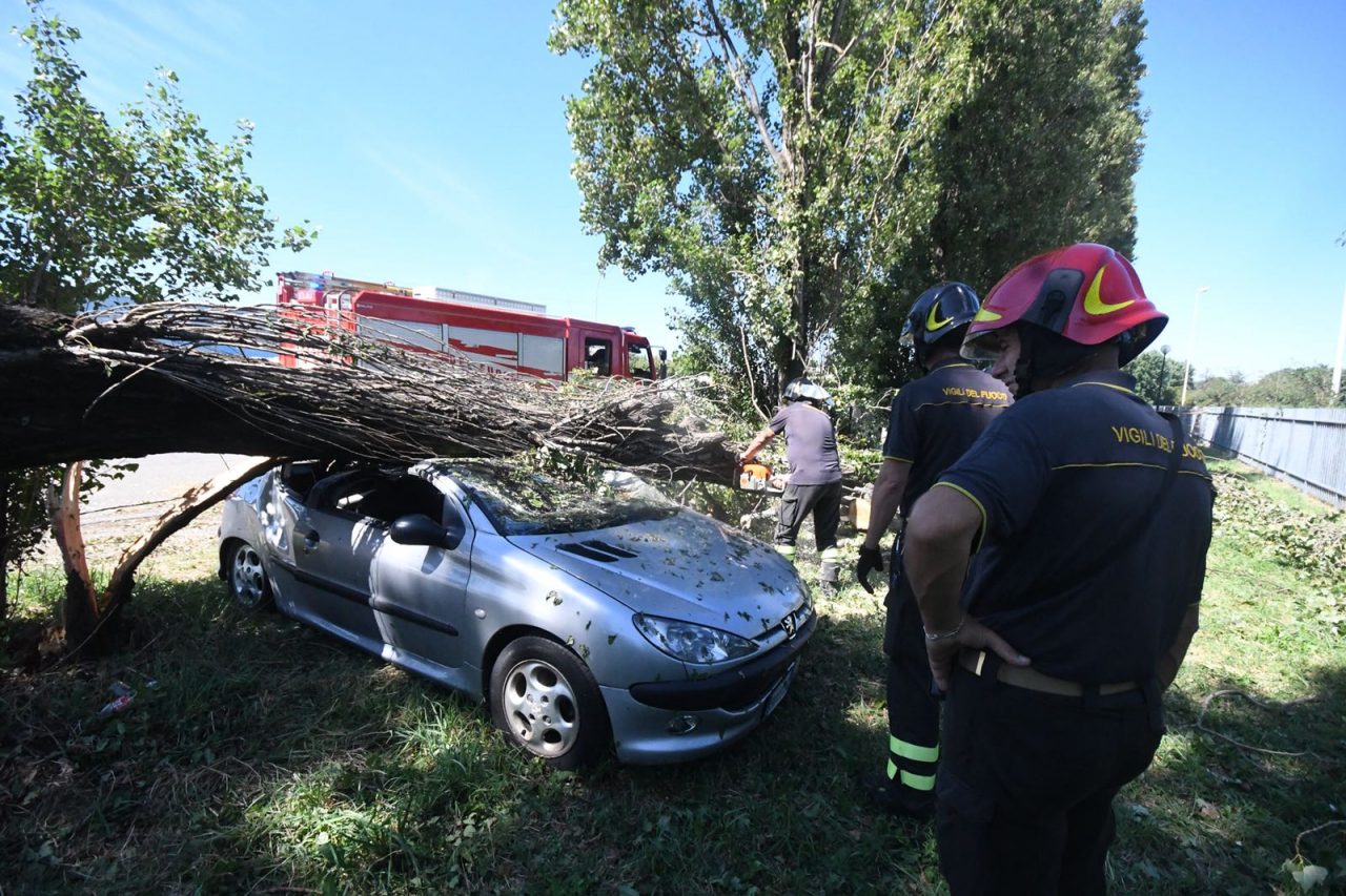 La macchina distrutta da un albero. Chiama i vigili e prende pure la multa