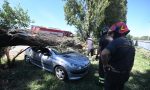 La macchina distrutta da un albero. Chiama i vigili e prende pure la multa