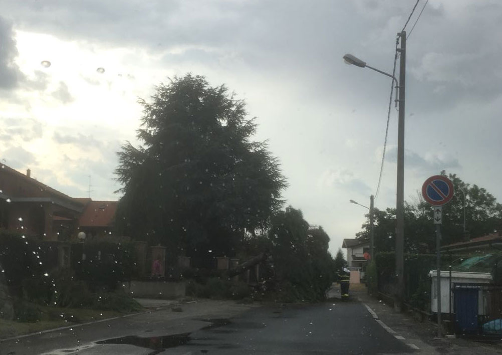 Albero cade in mezzo alla strada e sfonda la cancellata