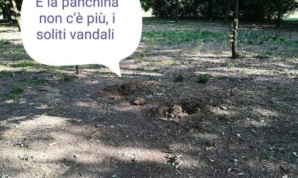 Nuovo atto vandalico in via Aldo Moro a Concorezzo