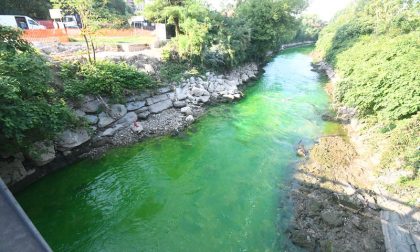 "Lambro verde", individuato il colpevole!