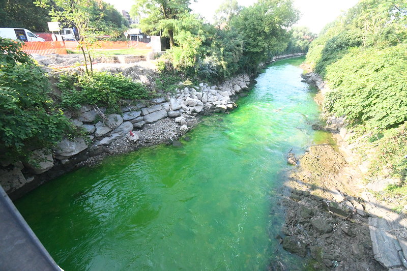 “Lambro verde”, individuato il colpevole!