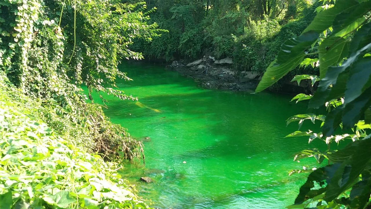 Lambro fluorescente: “Servono controlli più efficaci per evitare scarichi e rilasci impropri”