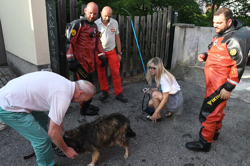 Cagnolina scappa per il maltempo, ritrovata dopo cinque giorni FOTO VIDEO