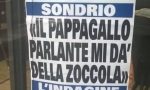 Il pappagallo dà della zoccola... e la locandina diventa virale