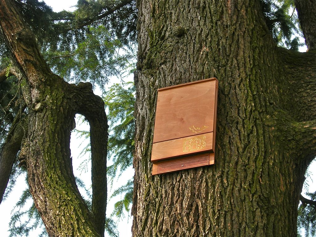 Limbiate dichiara guerra alle zanzare con le bat box