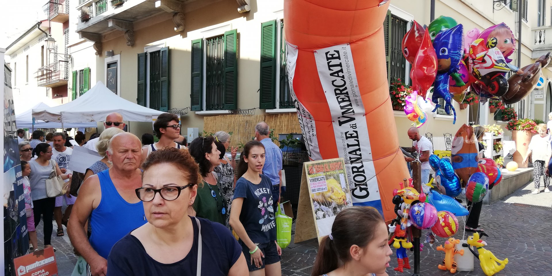 vimercate-fiera santo stefano5