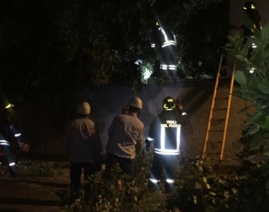 Vento forte sulla Brianza: ad Aicurzio sradicata una pianta. Residenti senza corrente