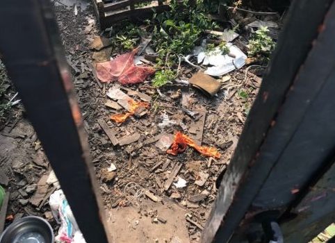 Cane abbandonato in una casa a Sesto. I volontari “Bisogna fare subito qualcosa”