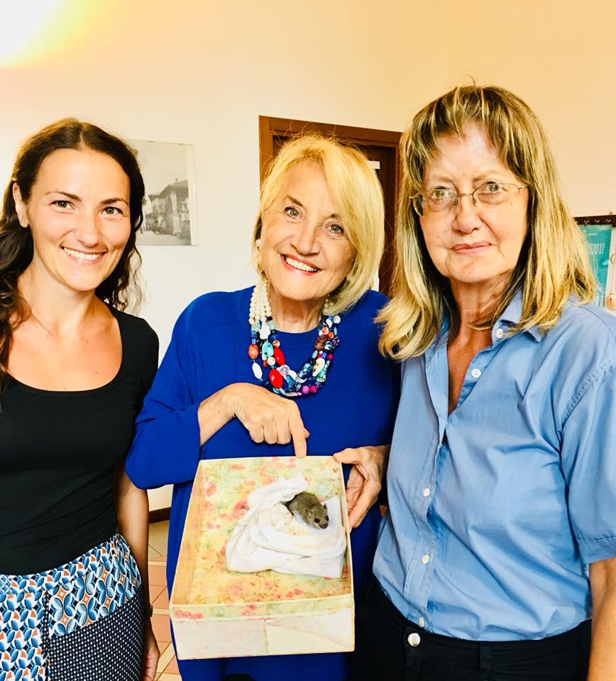 Un ghiro fa visita al Comune di Briosco