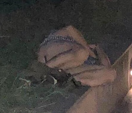 Ubriaco si denuda nel piazzale della biblioteca