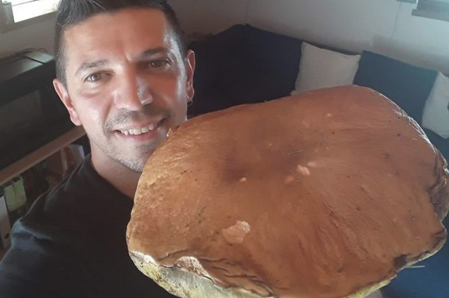 Trova un fungo da record e la foto diventa virale