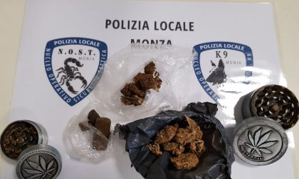 Polizia locale Monza: trovata droga e una minorenne fuggita dalla sua abitazione il 6 settembre