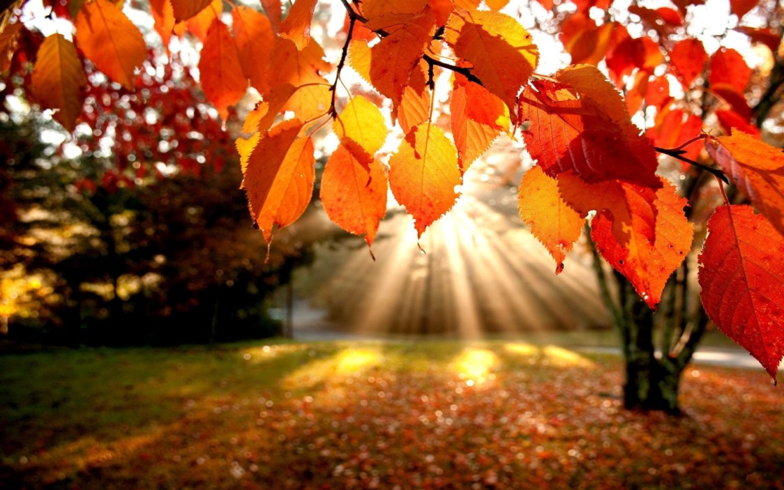 Novembre si chiude con il sole. Domenica ancora piogge PREVISIONI METEO