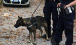 Narco, "cane fascista", anche l'Enpa in sua difesa