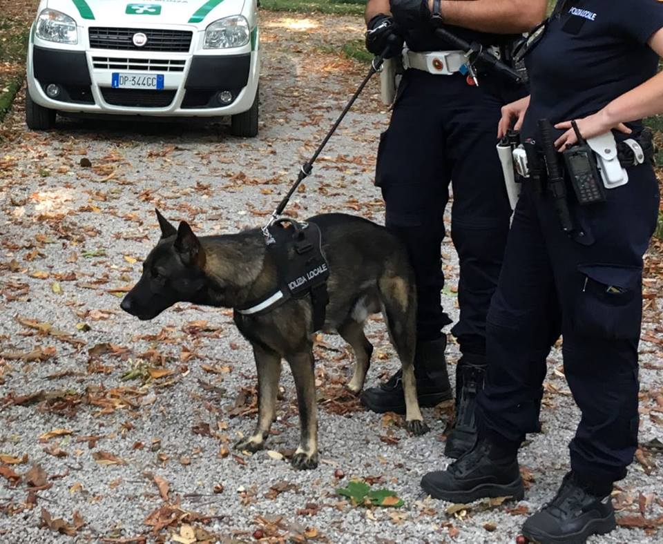 Con la droga vicino a scuola: arrestato 18enne